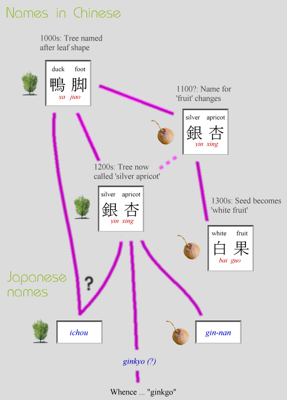 Trace names from Chinese to Japanese
