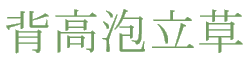 Seitakaawadachisou