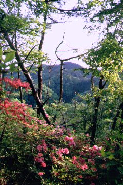 Mountain top